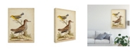 Trademark Global George Edwards Antique Bird Menagerie I Canvas Art - 37" x 49"